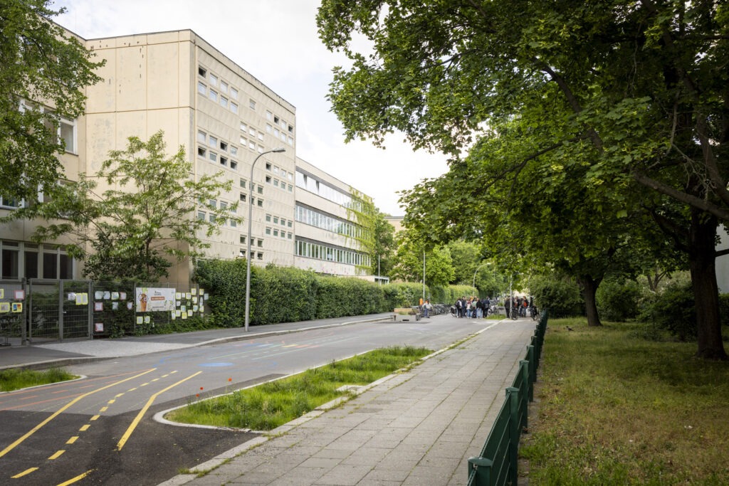 Grüner Gully in der Singerstraße in Berlin Mitte