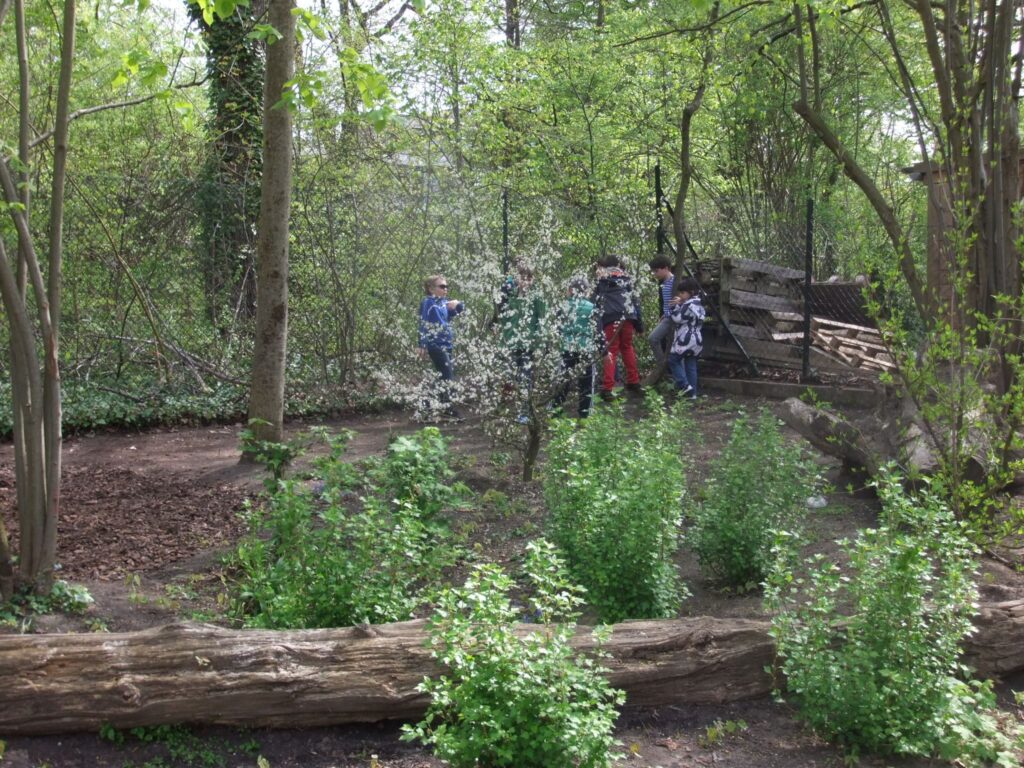 Naturteil - Versickerung, Wildgehölze und Umweltpädagogik