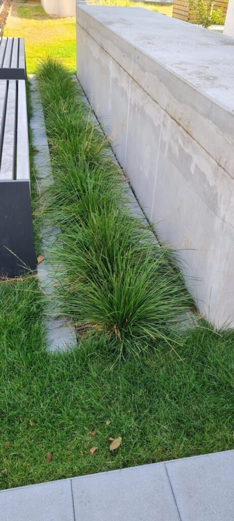 Wassersensible Freiflächengestaltung