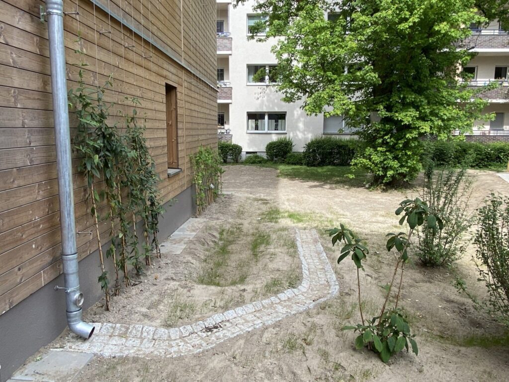 Fassadenbegrünung und Versickerungsmulde