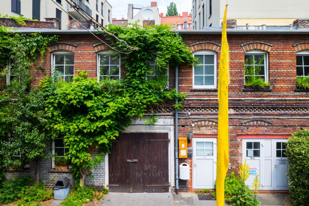Biodiversitätshotspot mit begrünten Fassaden