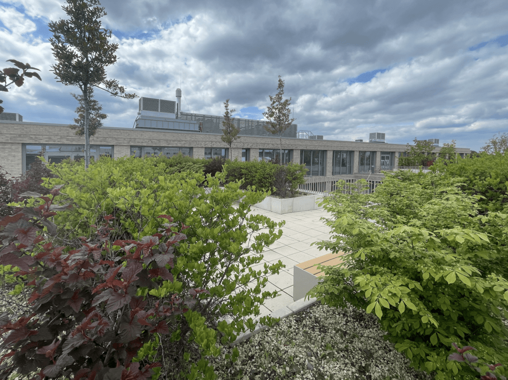 Dachgeschossterrasse 4.OG