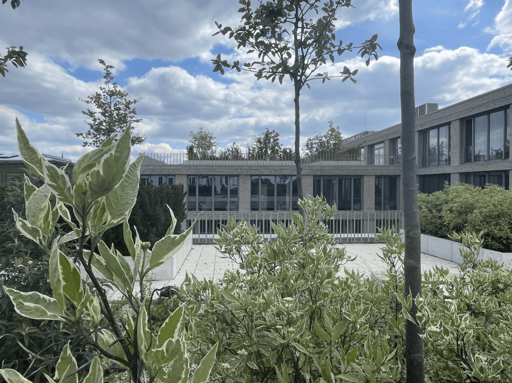 Dachgeschossterrasse 4.OG