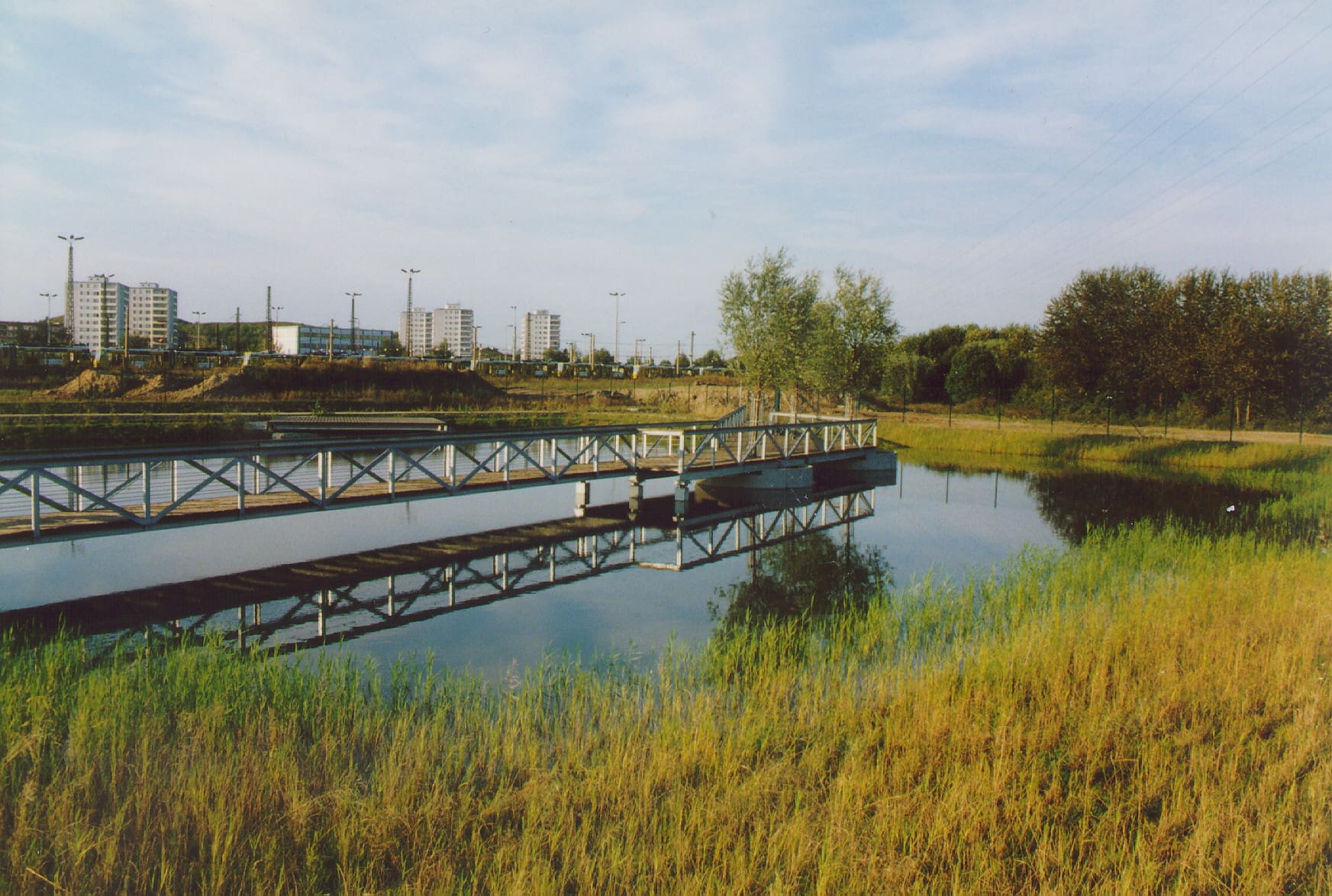 Regenrückhaltebecken mit Bauminsel und Brücke