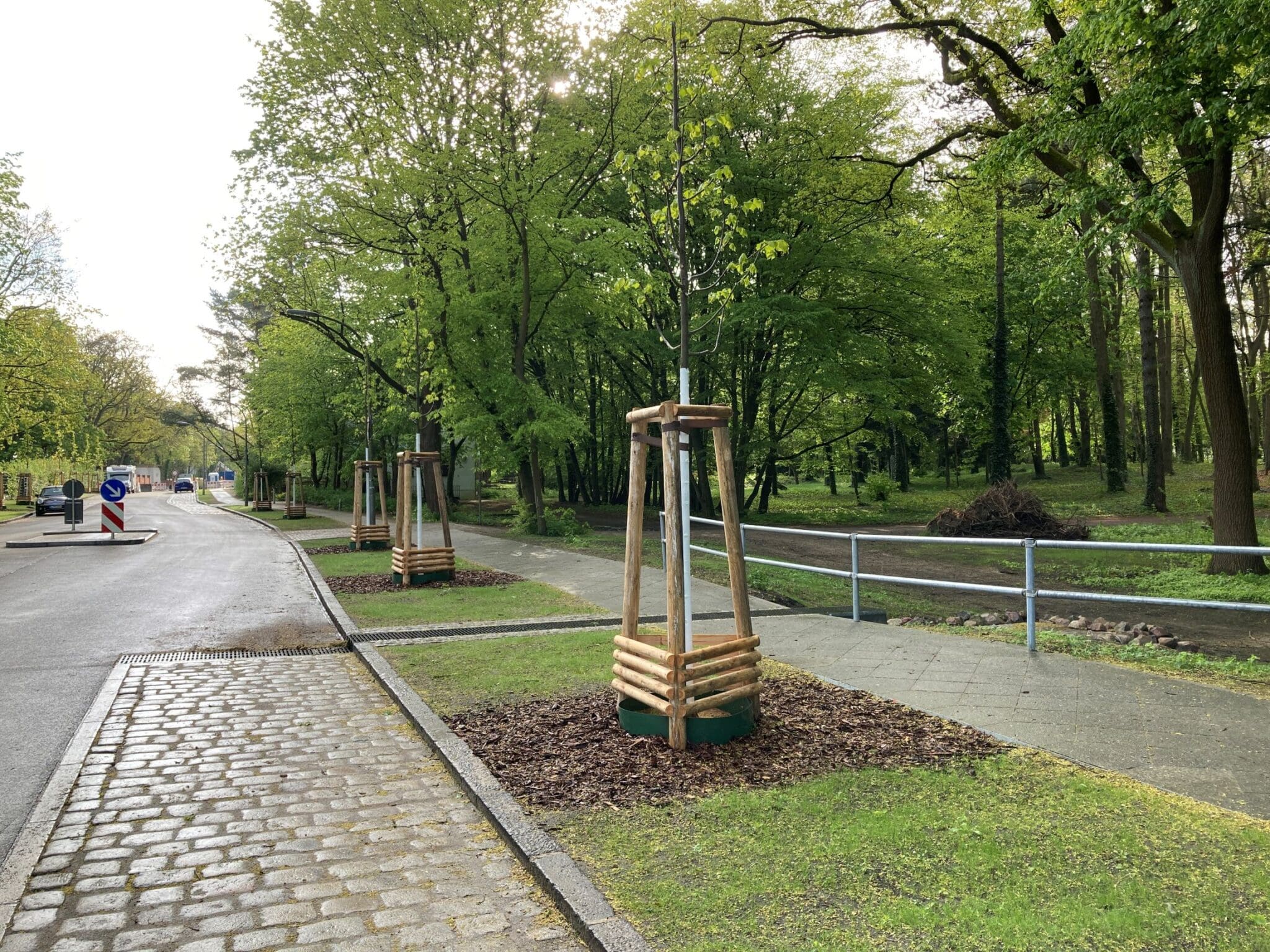 Fahrbahn, Parkstreifen, Grünstreifen, Gehweg, und öffentliche Grünfläche