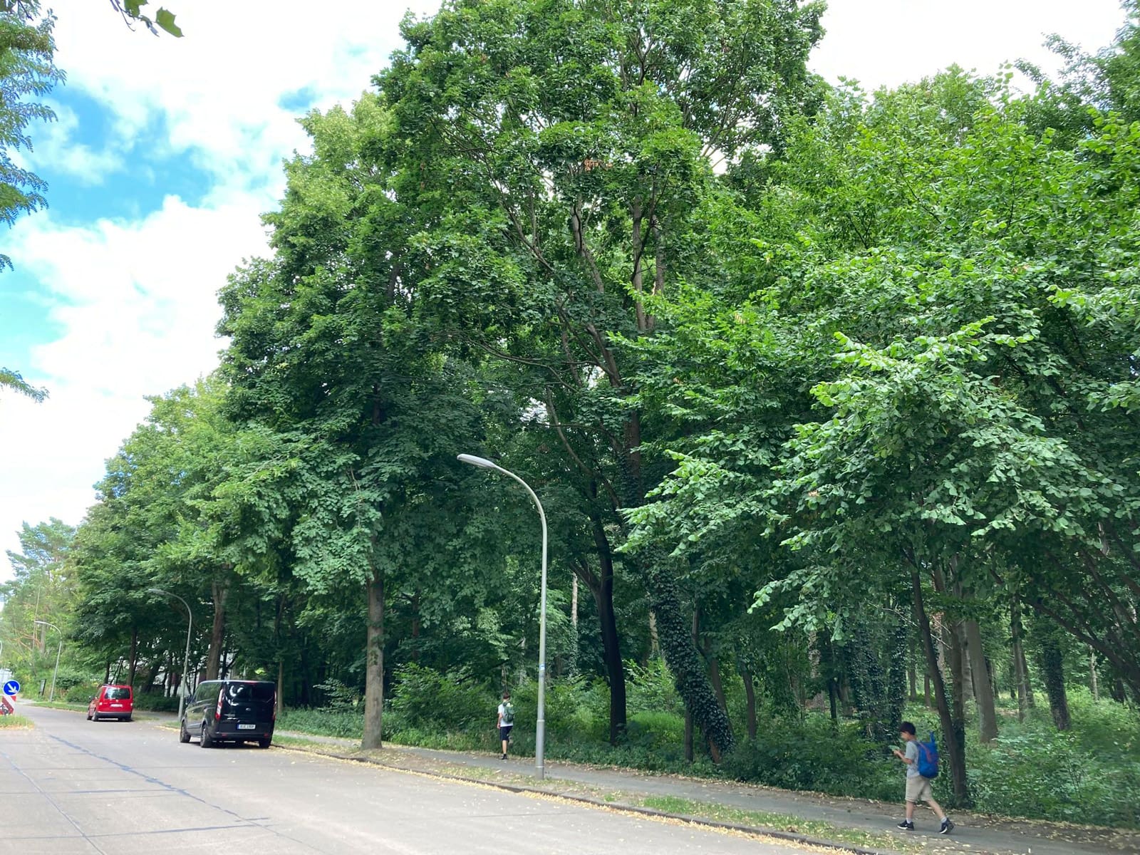 Blick auf den Ludwig-Lesser-Park in Berlin-Frohnau