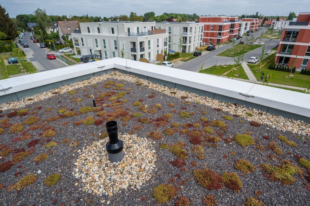 Extensives Gründach mit gedrosseltem Überlauf