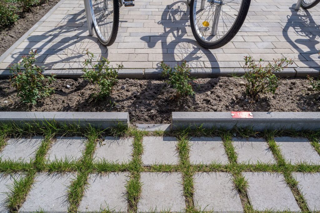 Wasserdurchlässiges Rasenfugenpflaster auf PKW-Stellfläche. Der Regen, der dort nicht versickert, kann durch Öffnungen zwischen den Bordsteinen in angrenzende Grünflächen fließen.