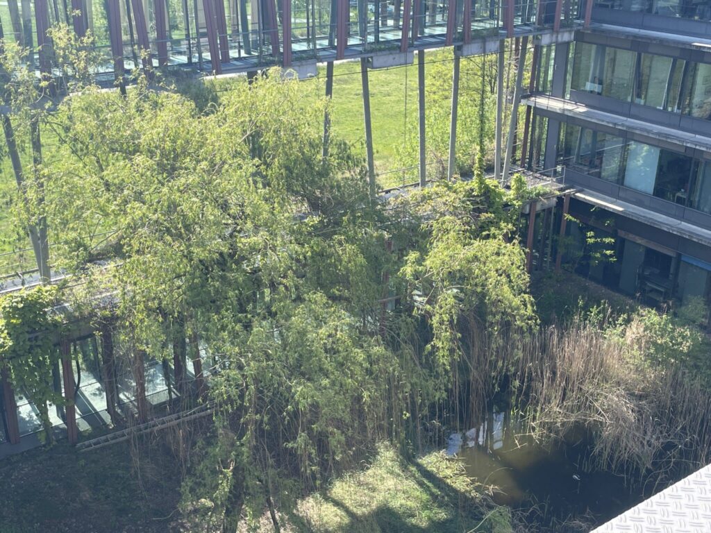 Retentionsteich des Physik-Instituts der HU-Berlin