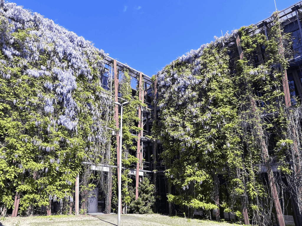 Außenfassade des Physik-Instituts der HU-Berlin - bewachsen mit Wisterien