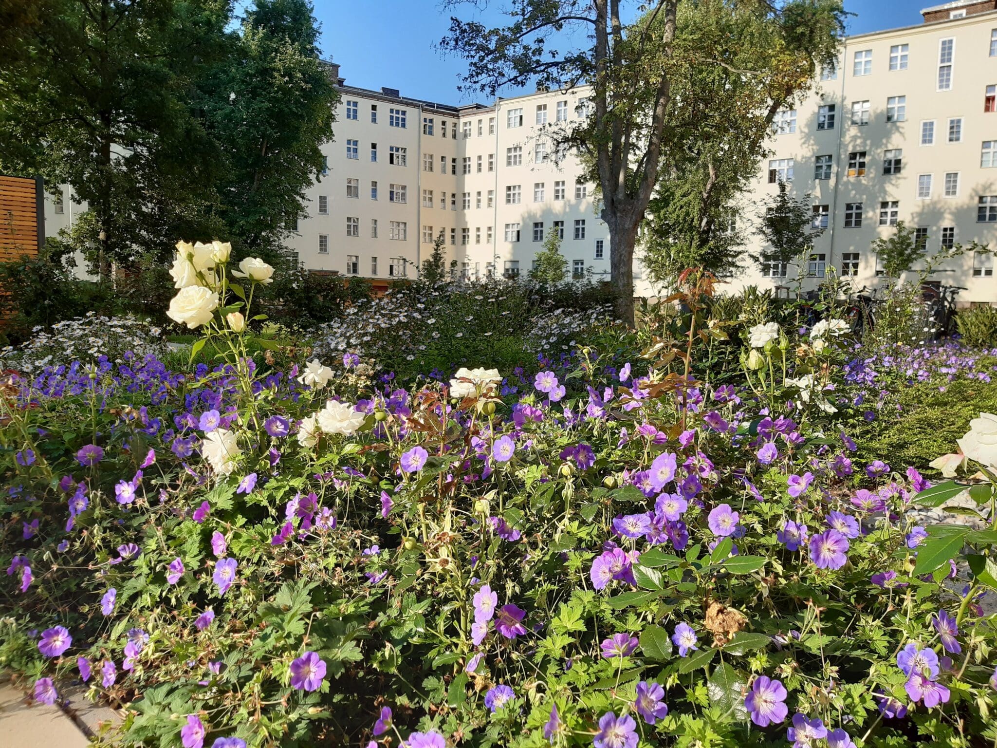 Nachher Umgestaltung: Blühende standortgerechte Bepflanzung