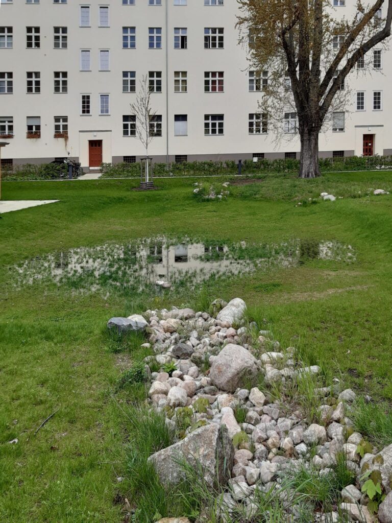 Versickerung von Starkregen in Rasenfläche (Rasenmulden)