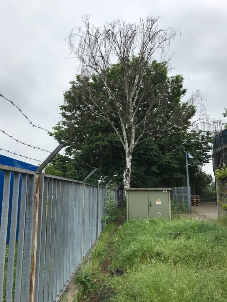 Eingangsbereich vor Umbau