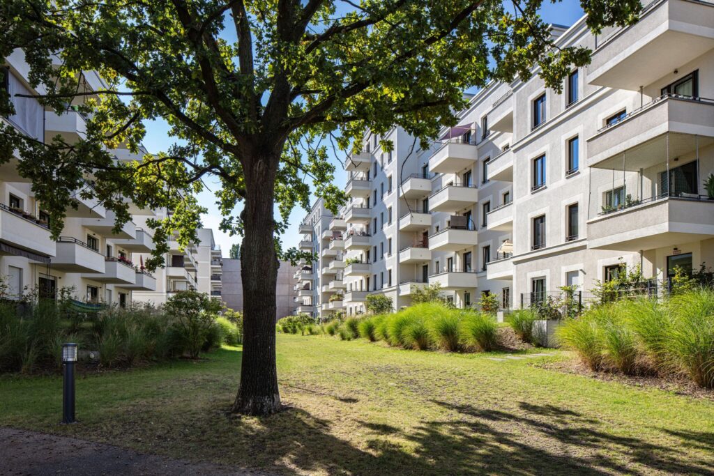 Vegetation und Versickerungsmulden im Innenhof