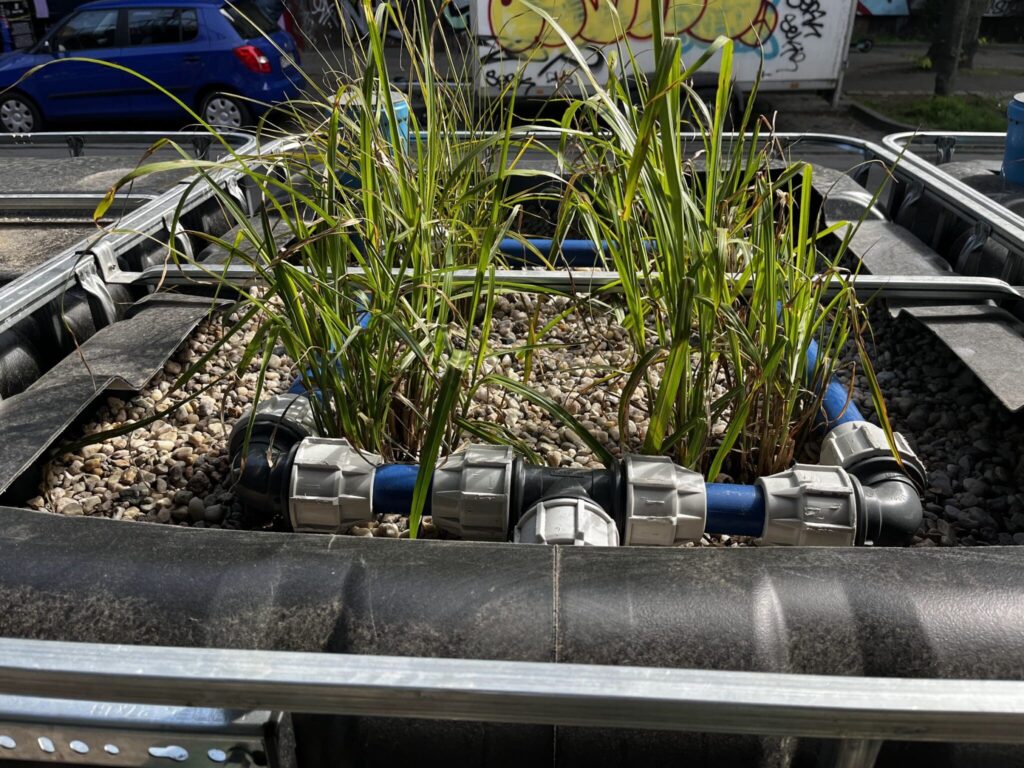 Blick auf das Schilf-Sand-Biokohle-Filtermodul 25.04.2024