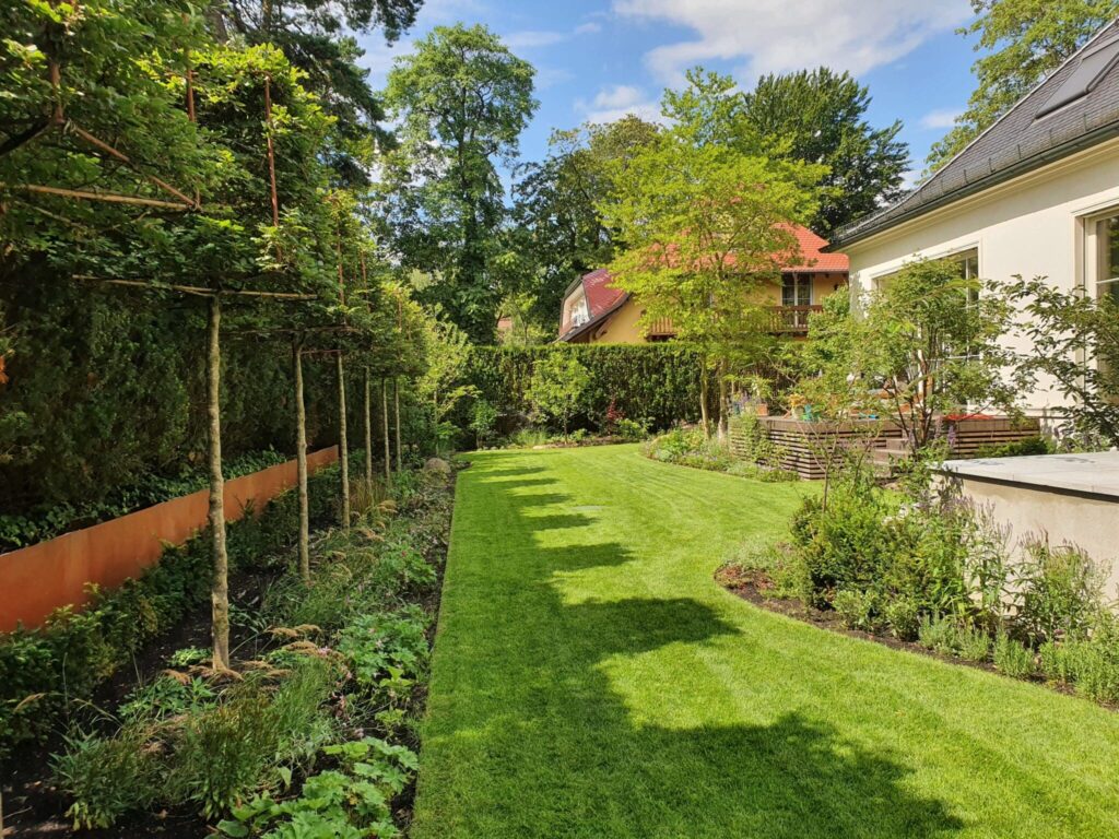 Blick in den Südgarten kurz nach der Pflanzung