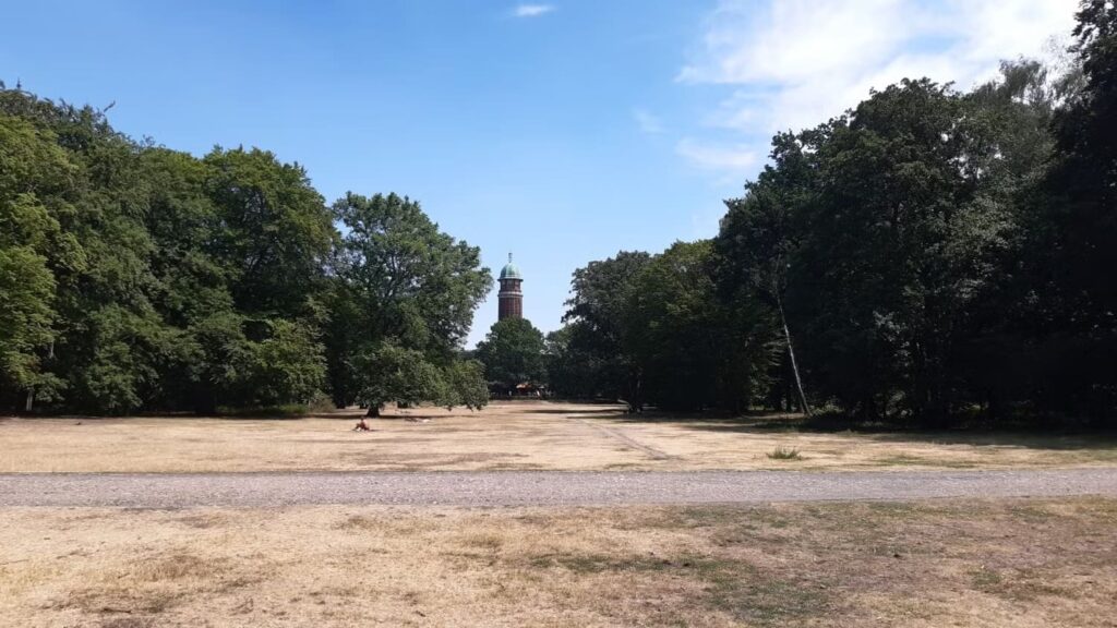 Trockenheit in der Jungfernheide, 2022