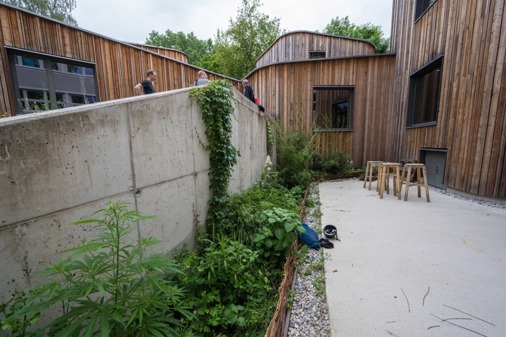 Eine von drei bepflanzten Mulden