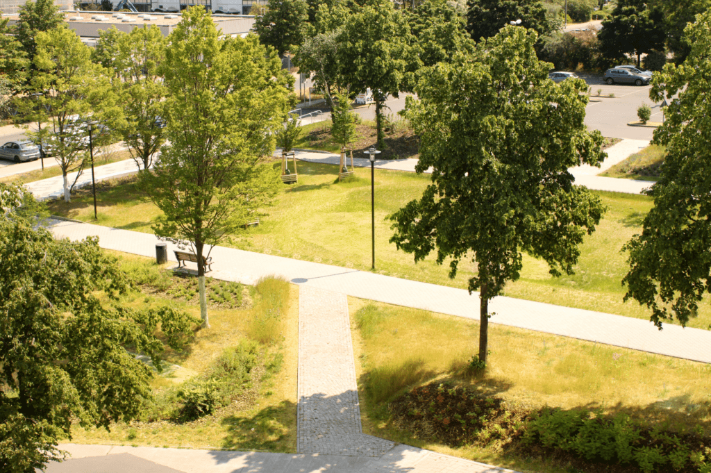 Luftbild auf Grünzug