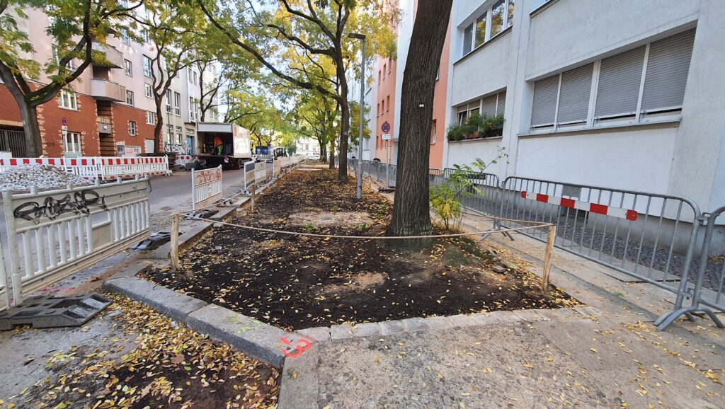 vergrößerte Baumscheibe mit Bauzäunen geschützt