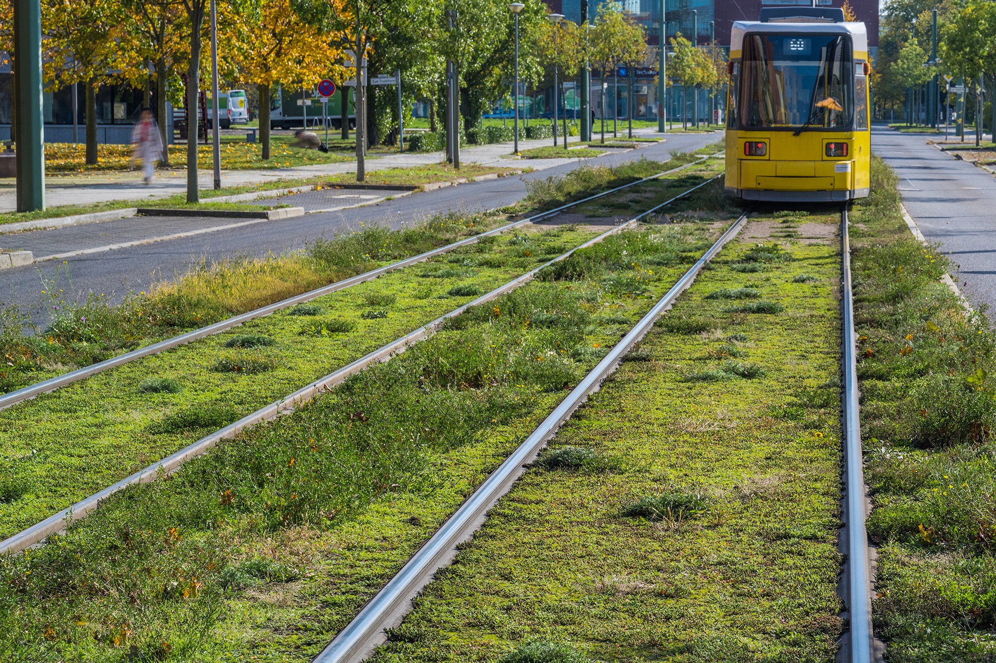Begrüntes Gleisbett einer Straßenbahn