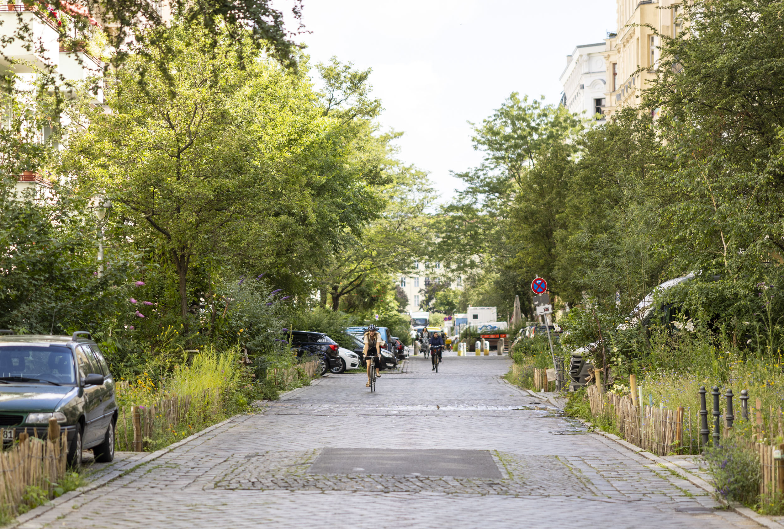 Straße mit intensiven Grünflächen auf beiden Seiten
