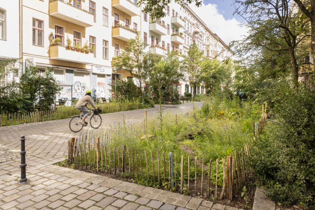 Umzäunte und begrünte Fläche neben einer Straße