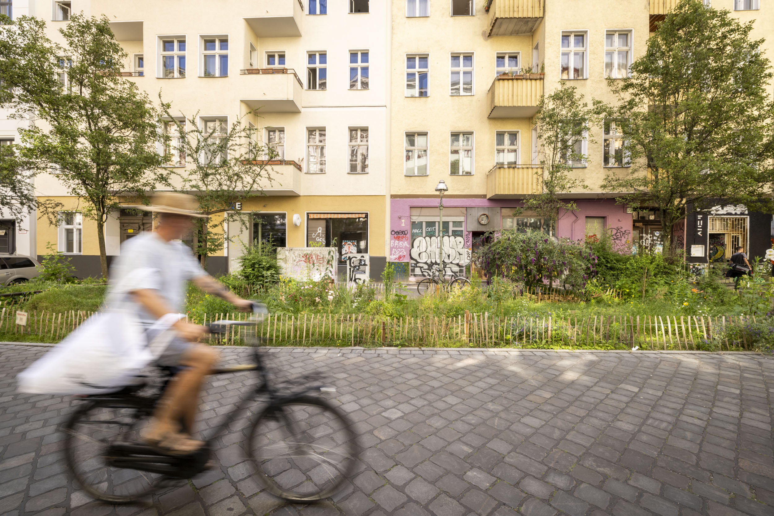 Person die auf einem Fahrrad durch begrünte Straße fährt