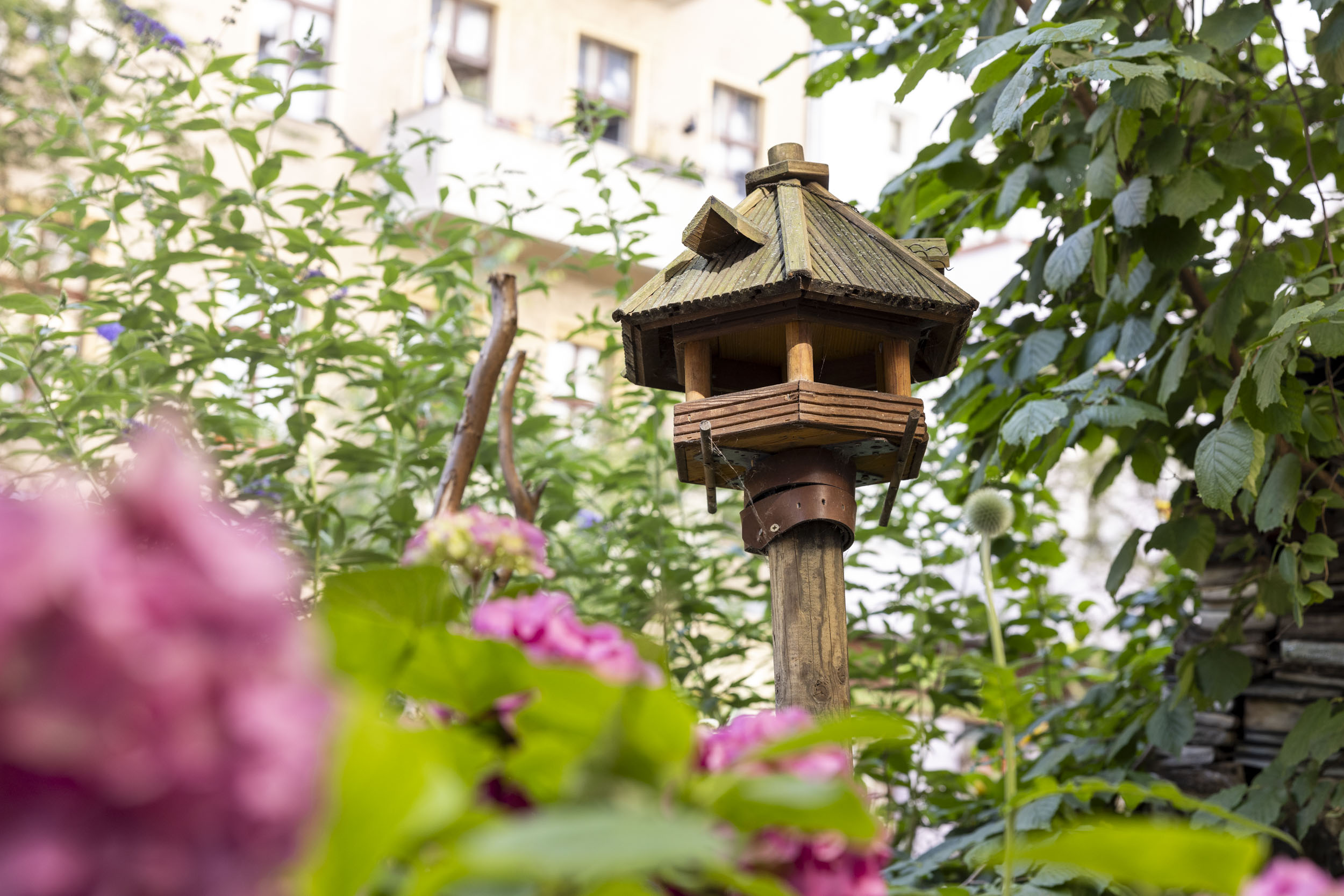kleines Vogelhaus zwischen hohen Pflanzen