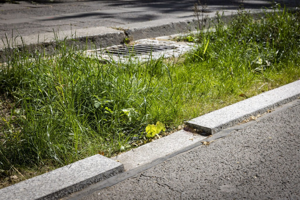 Grüner Gully in der Singerstraße in Berlin Mitte