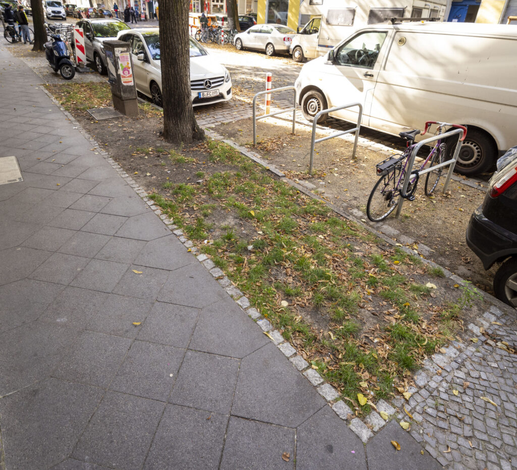 Fahrradstellplätze neben Baumscheibe