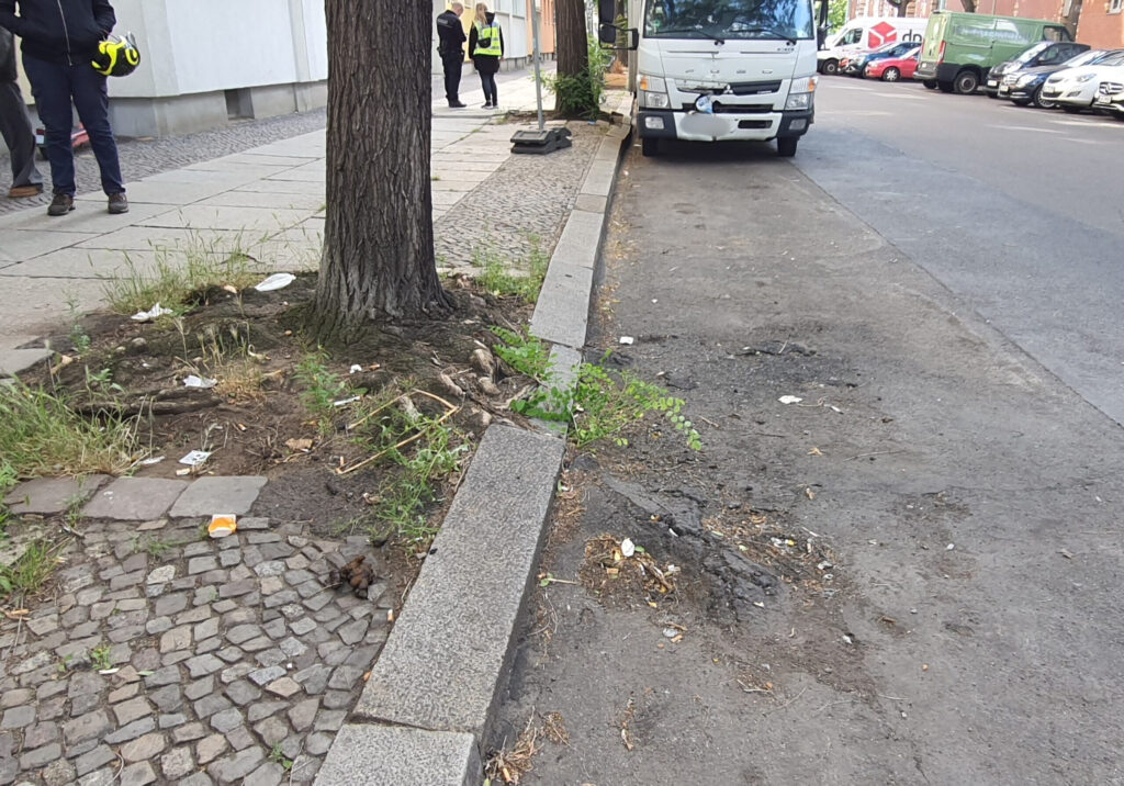 durch Wurzeln beschädigte Straße neben Baumscheibe