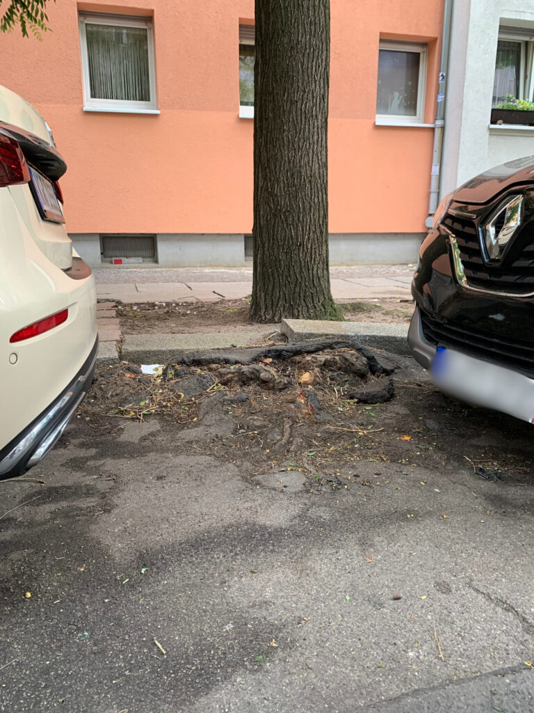 durch Wurzeln beschädigte Straße neben Baumscheibe