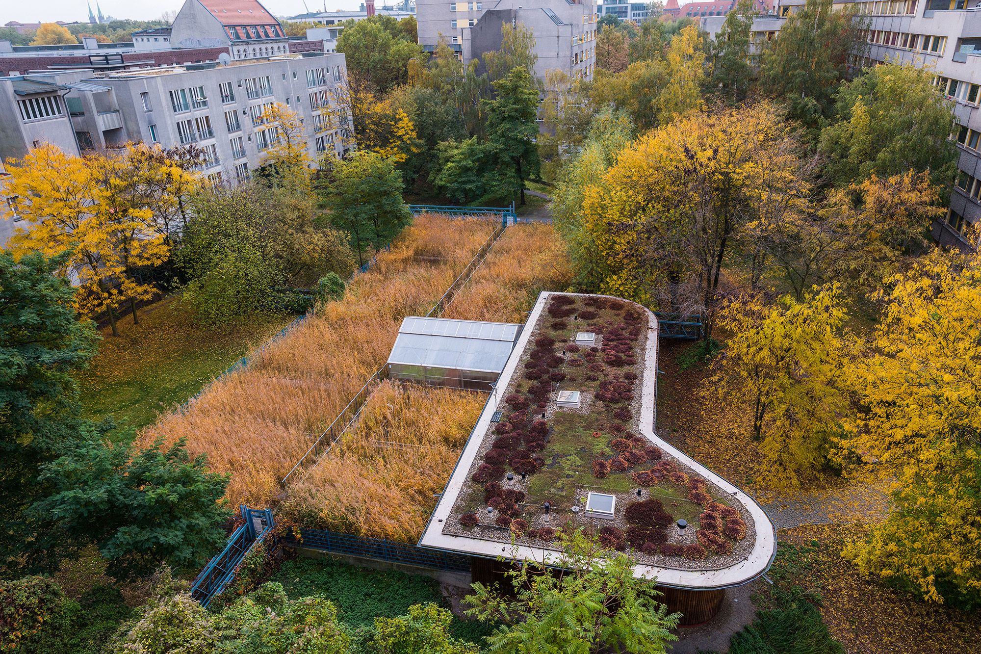 IBA-Pionierleistung für den ökologischen Stadtumbau von 1987: Das Projekt Block 6 zeigt, dass auch in innerstädtischer Lage und Dichte dezentrale Entwässerungskonzepte mit Pflanzenkläranlagen möglich sind.