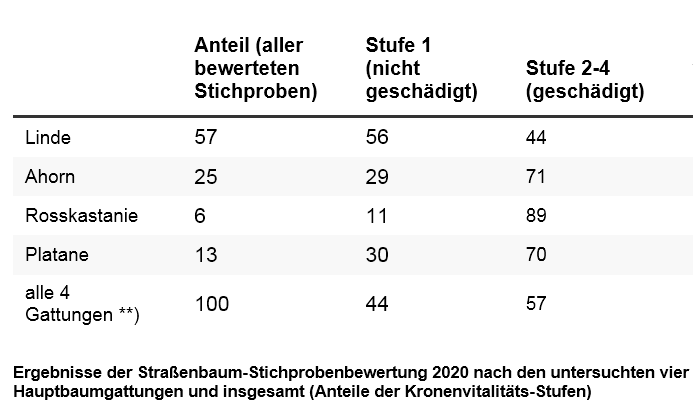 Prozentualer Anteil der geschädigten Bäume bei den vier Berliner Hauptbaumgattungen Linde, Ahorn, Platane und Rosskastanie (Daten Stand 2020)