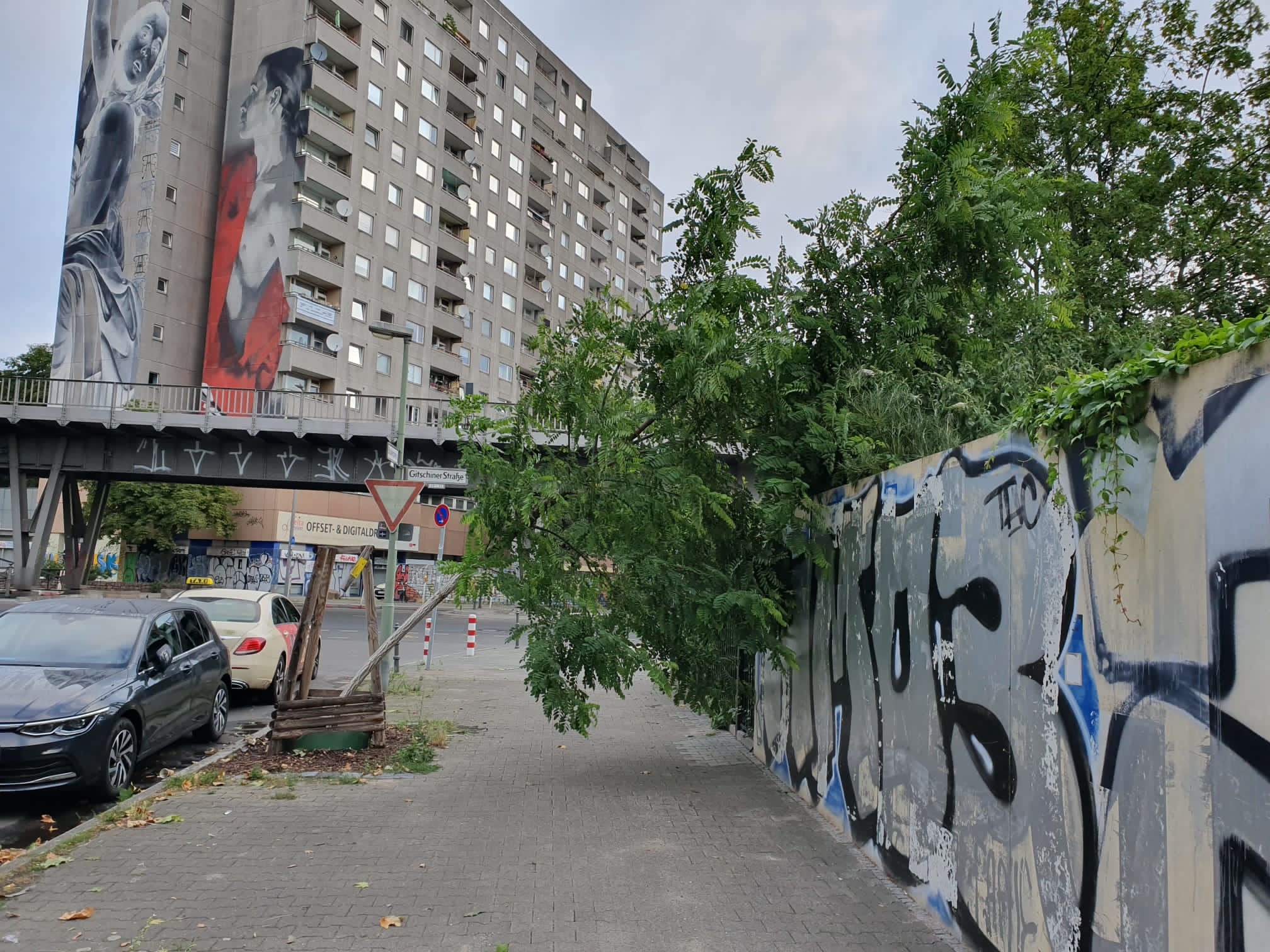 Sturmschaden an einem Stadtbaum in Berlin