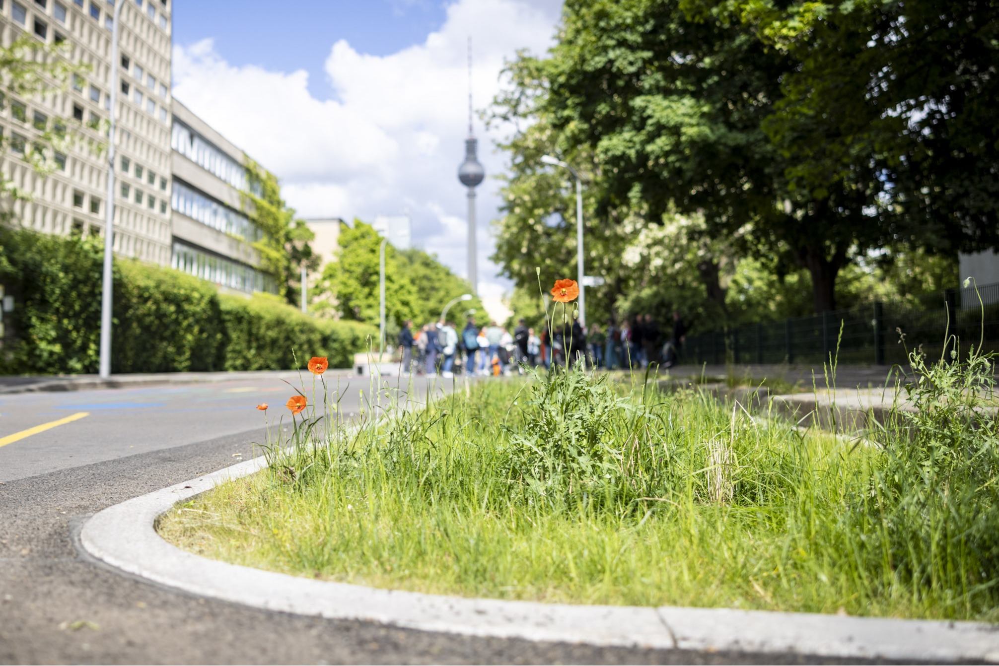 Rundgang zum Thema: Entsiegelung und niedrigschwellige Lösungen für Regenwasserbewirtschaftung im öffentlichen Raum.