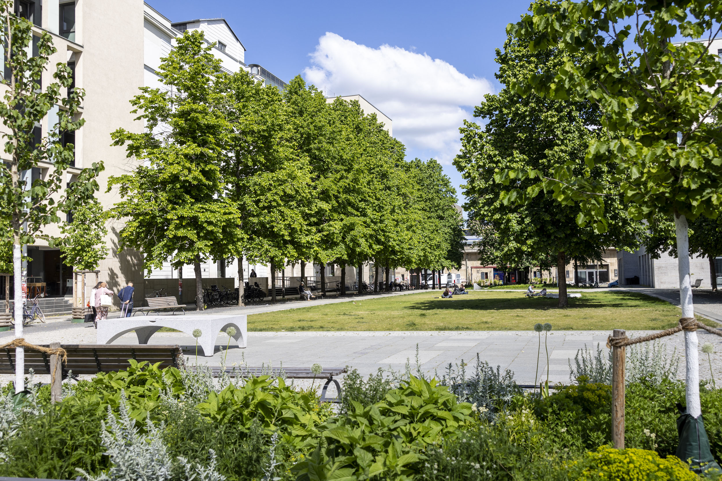 Entsiegelter und umgestalteter Hegelplatz in Berlin-Mitte
