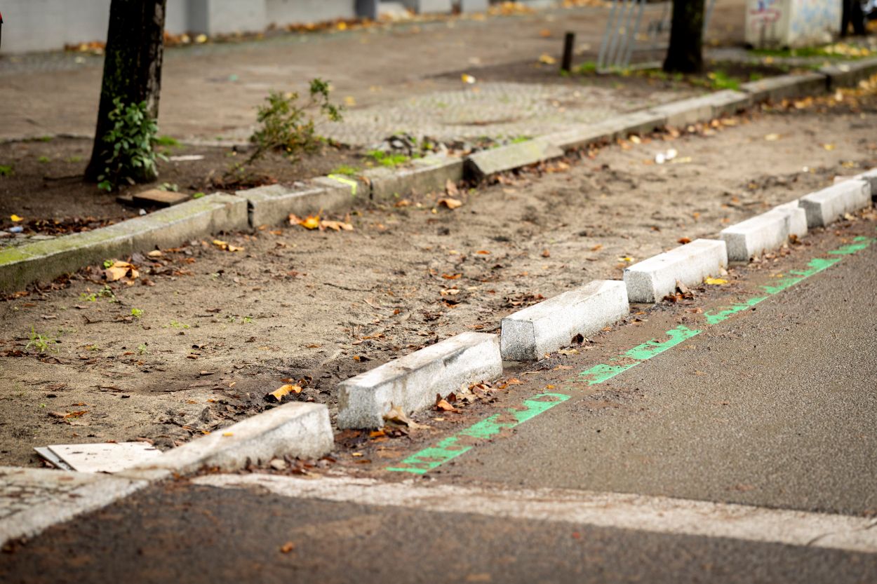 Parkstreifen in der Blücherstraße, welcher als niedrigschwellige Lösung entsiegelt wurde.
