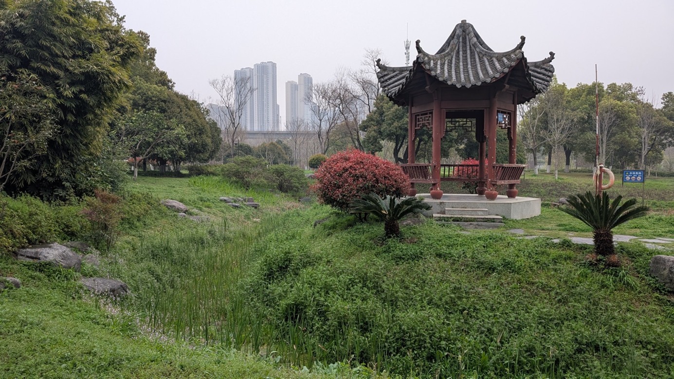 Qingshan Park in Wuhan. Dicht bewachsene Senken mit Gräsern und Wasserpflanzen. Im Hintergrund ist ein Pavillon im traditionellen Stil erkennbar.