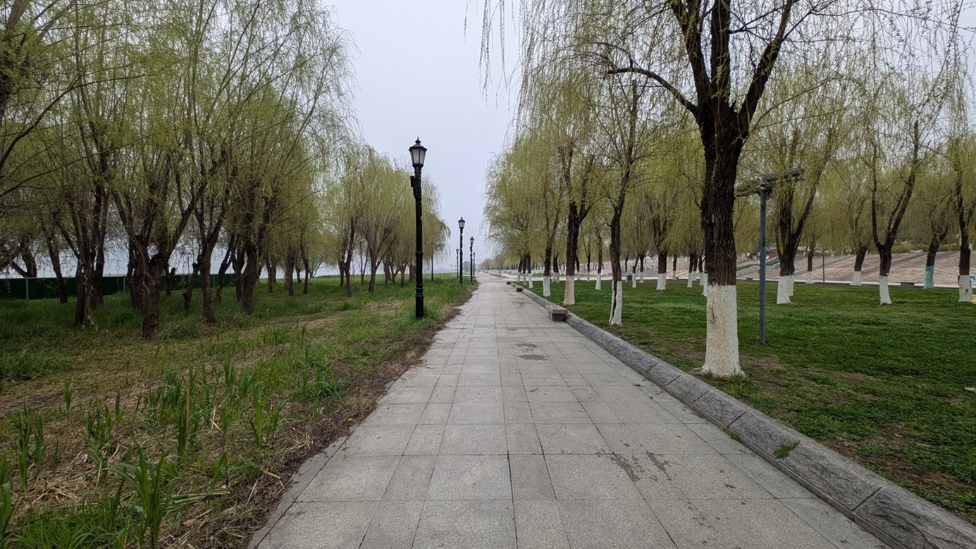 Breite Spazier- und Radwege, flankiert von Bäumen und Grünflächen: Der Uferpark Yangtze Riverfront Park