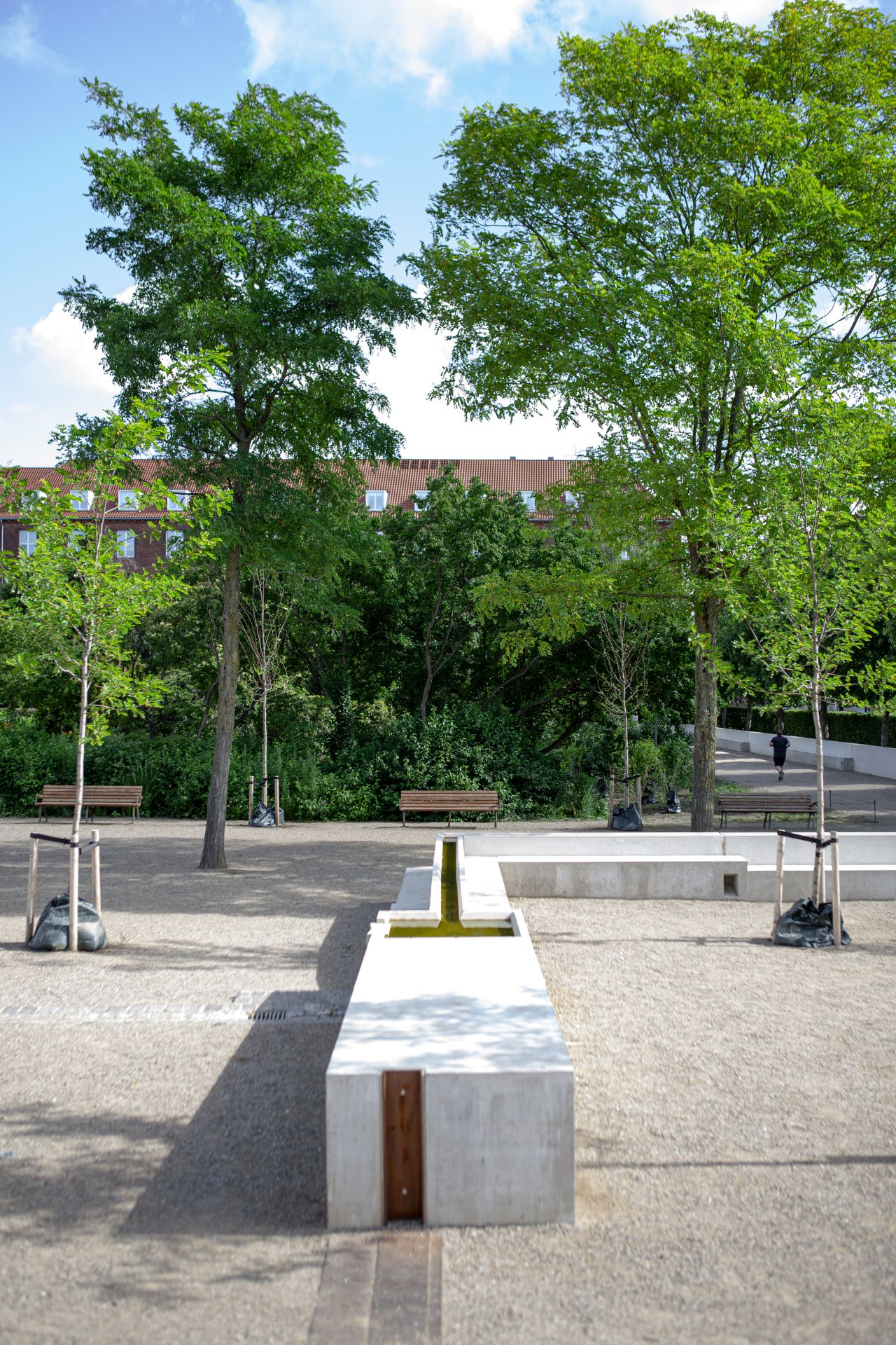 Der leicht abgesenkte Rosengarten dient bei Starkregen als Rückhaltefläche, unter der sich ein Reservoir mit einem Fassungsvermögen von rund 22.600 Kubikmetern befindet.