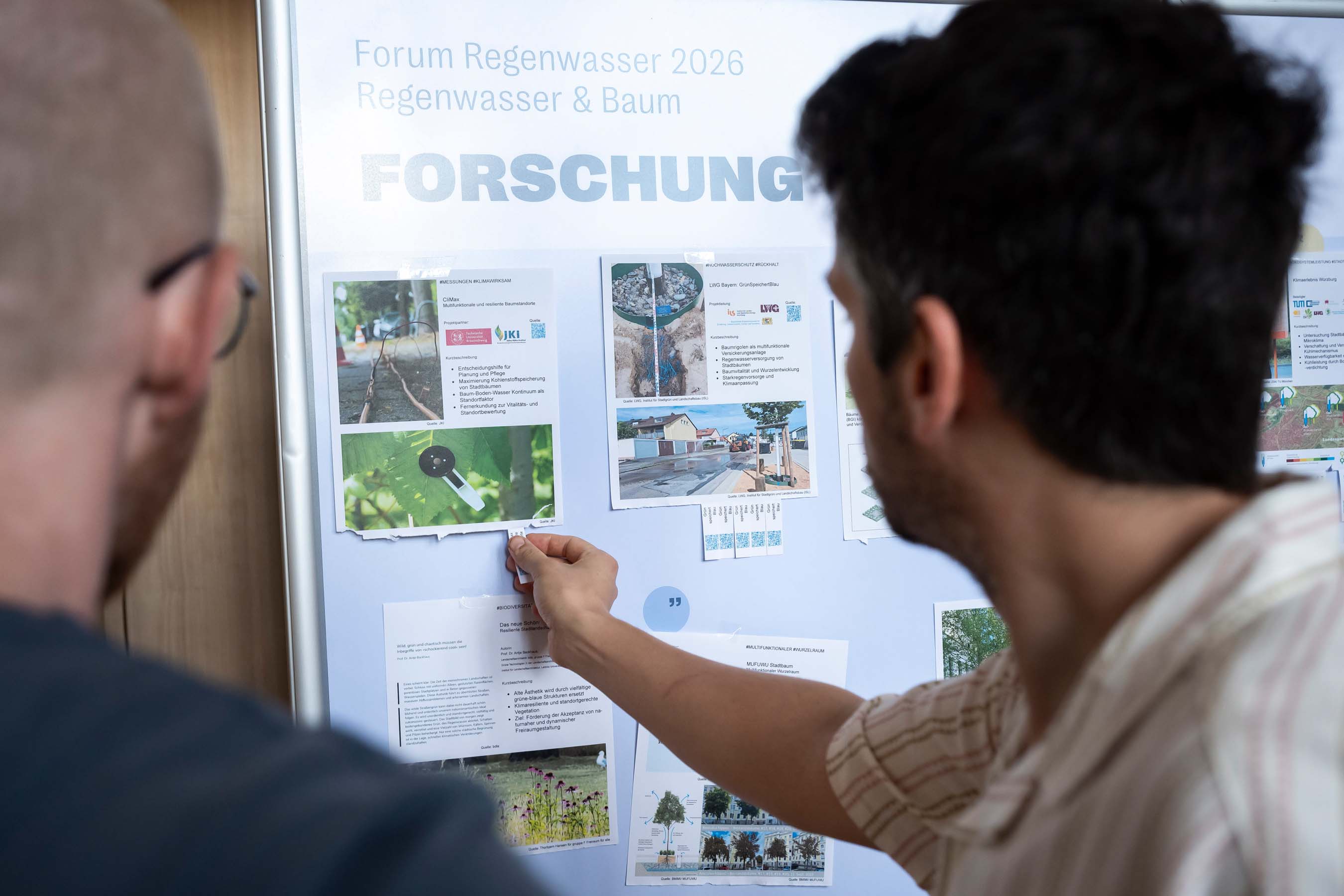 Forum Regenwasser - Regenwasser und Baum. Steckbriefe zu Projekten.